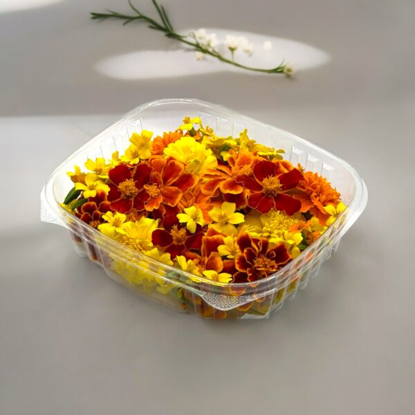 Marigold Fleurs comestibles